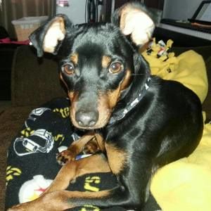 Meet your Posher, Leah